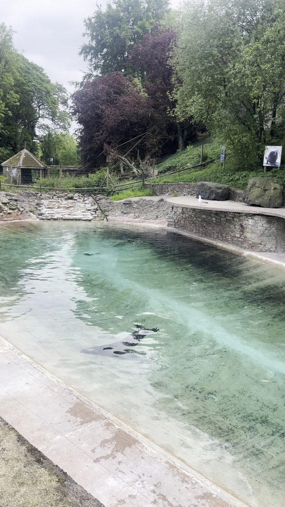 Dudley zoo