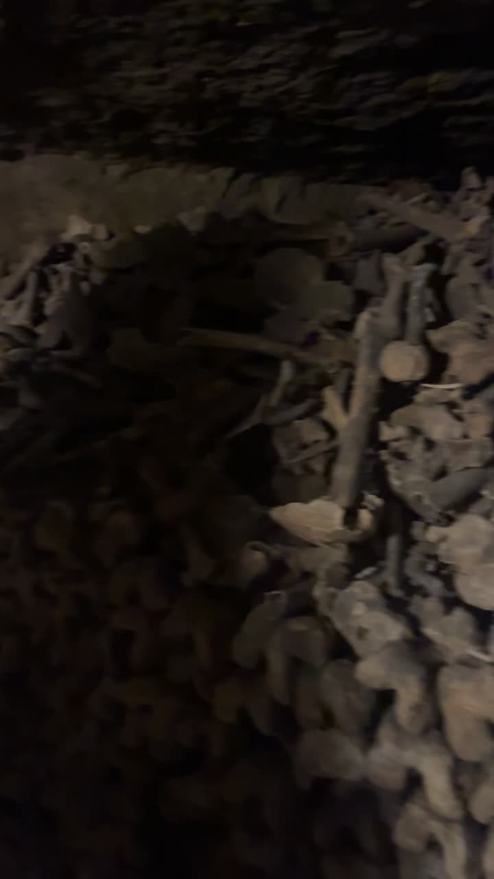 Catacombes de Paris