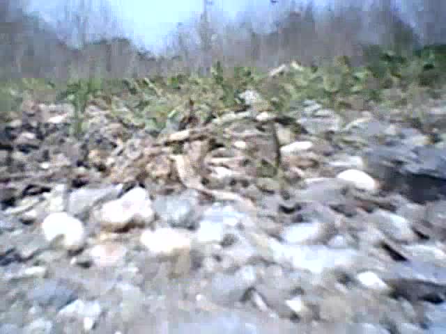 Black Velvet Oyster Bar & Grill