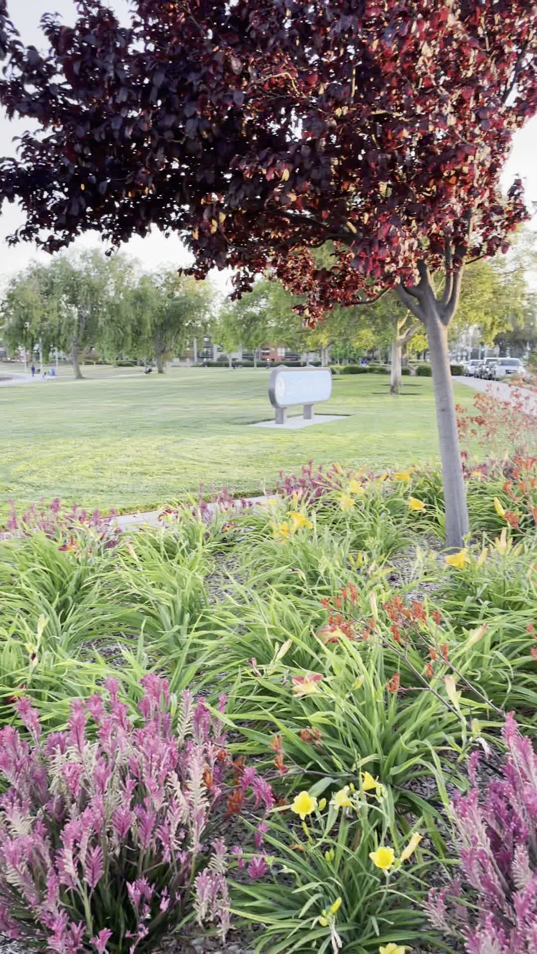 Video review of Leo J Ryan Memorial Park