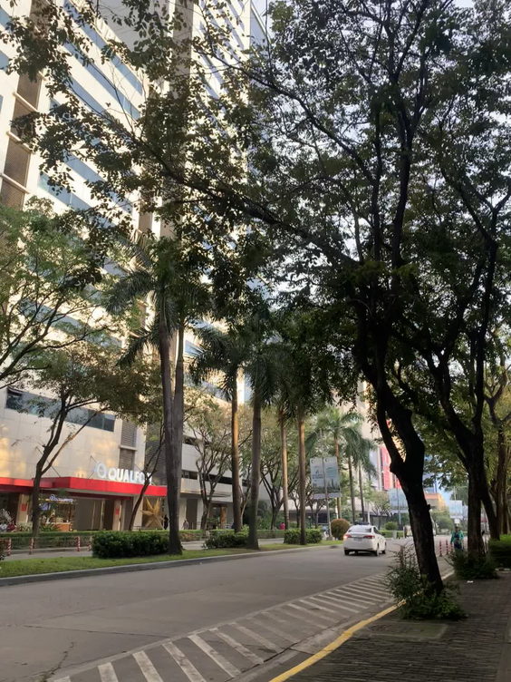Cebu IT Park