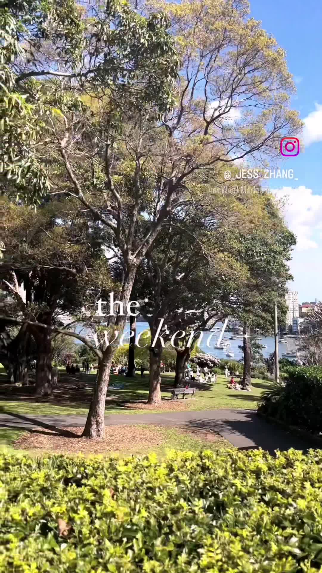 Wendy Whiteley's Secret Garden