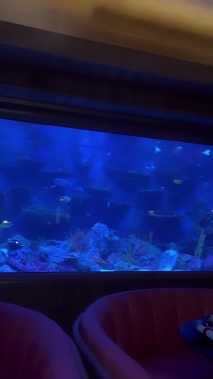 Video review of Sexy Fish
