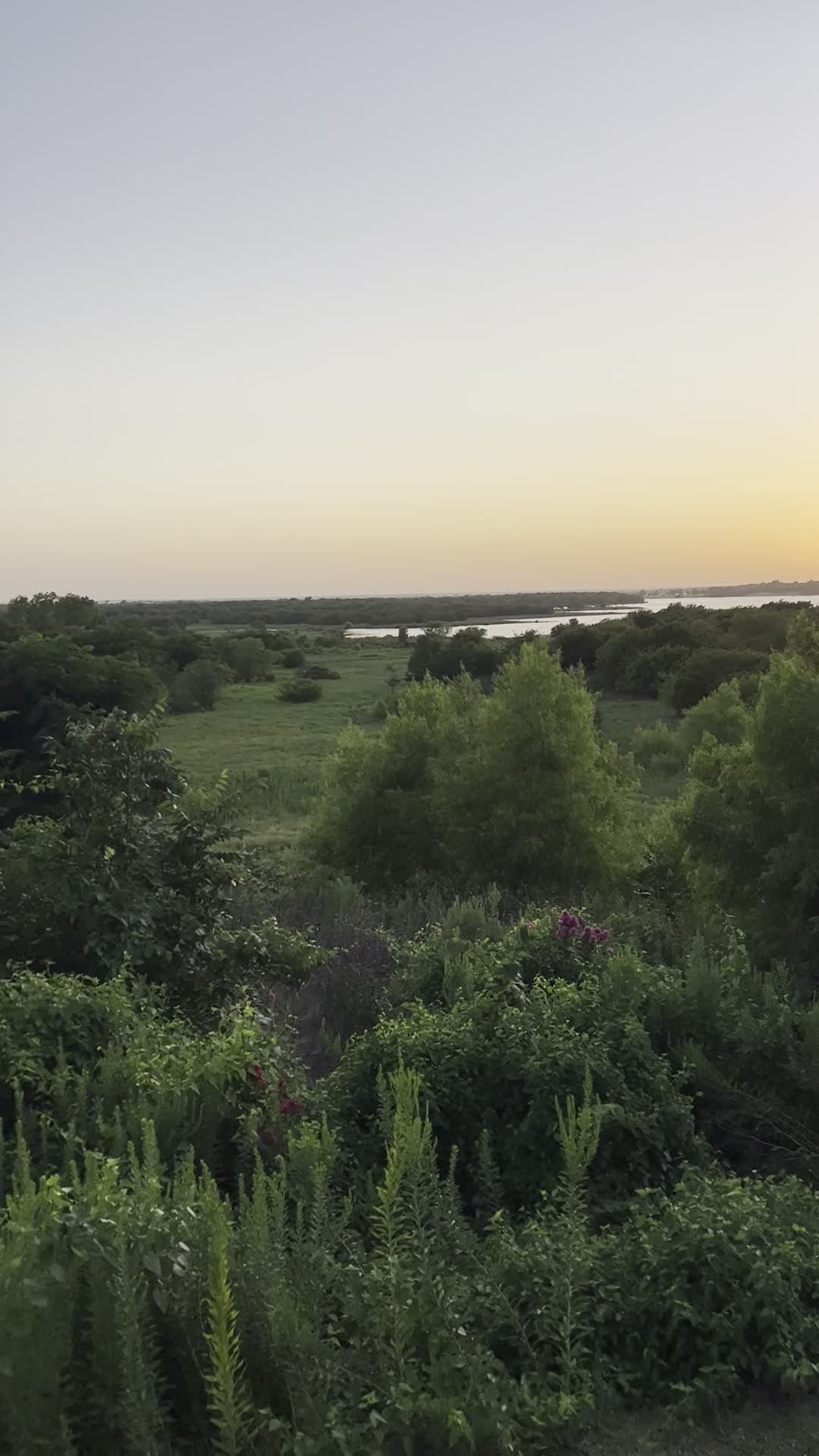 Video review of Angelina's Mexican Restaurant