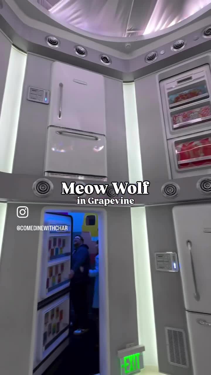 Meow Wolf Grapevine | The Real Unreal