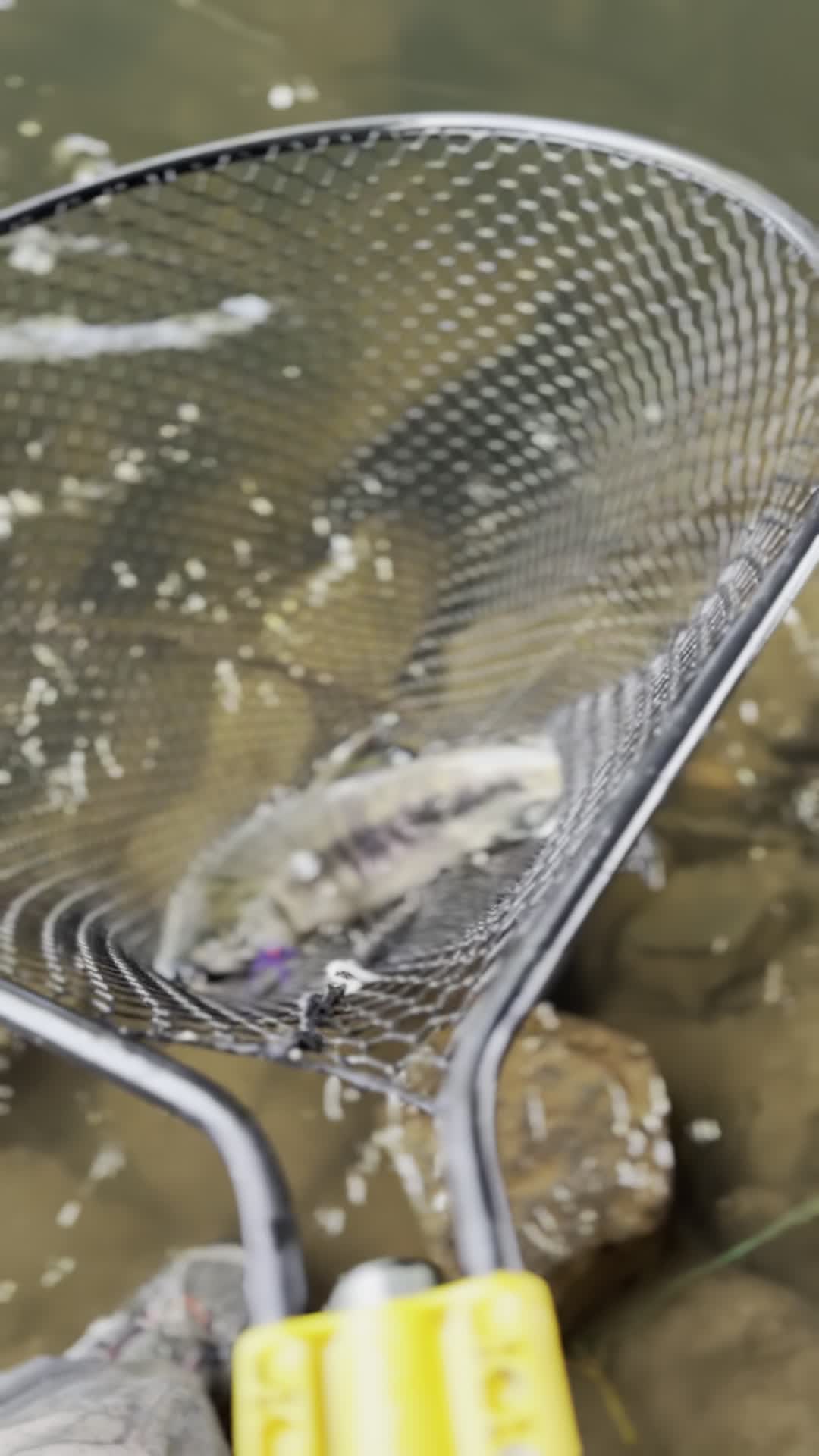 Video review of Museum of Pop Culture (MoPOP)