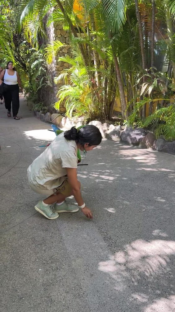 Vallarta adventure