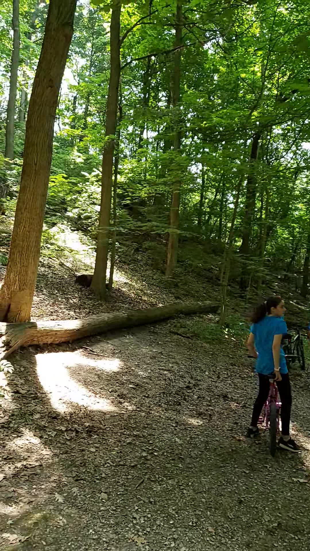 Swallow Cliff Stairs