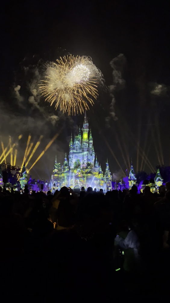 Magic Kingdom Park