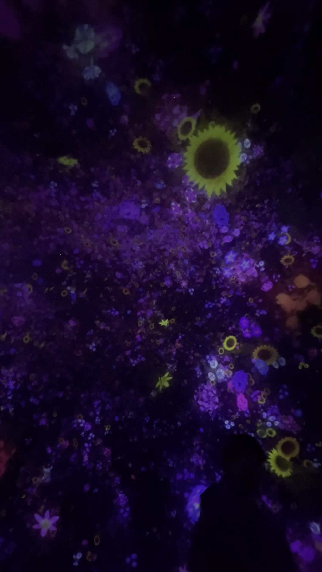 teamLab Planets TOKYO DMM
