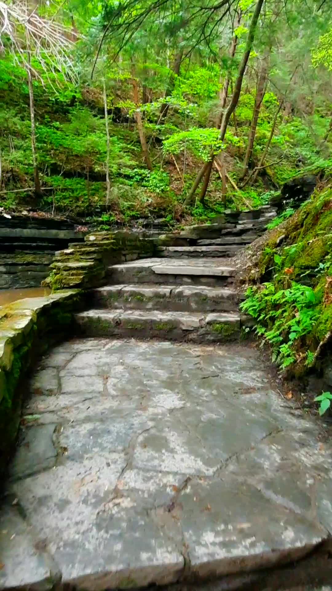 Buttermilk Falls State Park