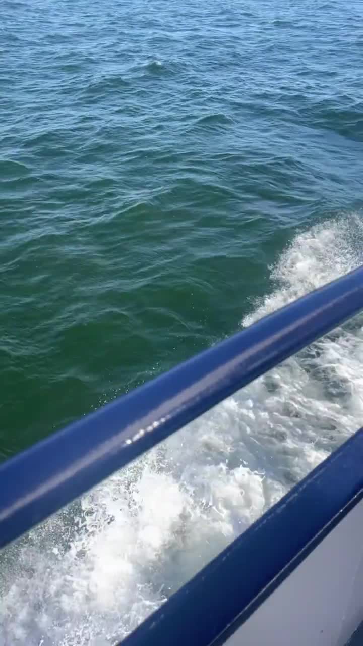 City Moment · San Francisco