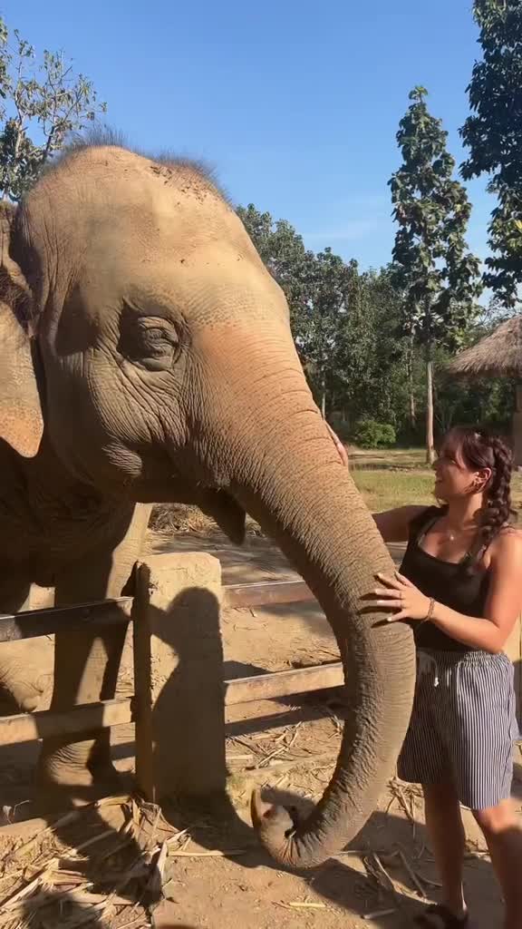 Maerim Elephant Sanctuary