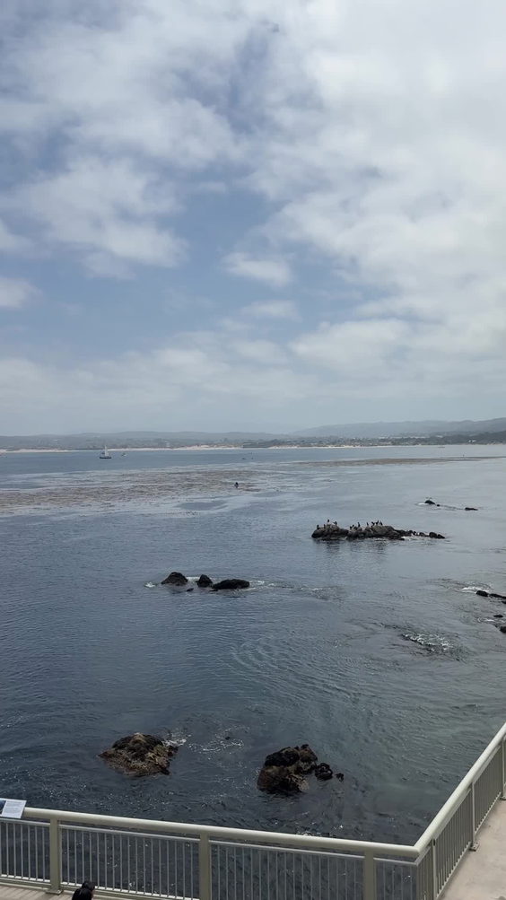 Monterey Bay Aquarium