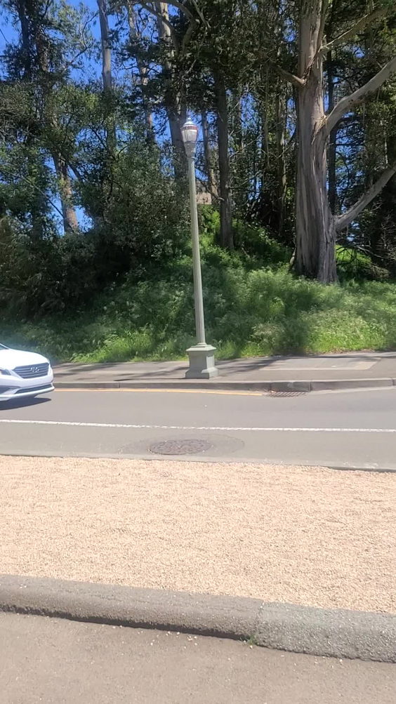 Golden Gate Park