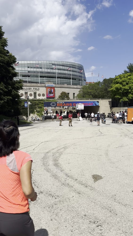 Soldier Field Waldron Lot