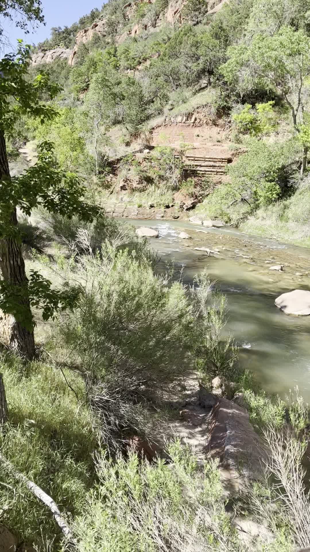 Zion National Park