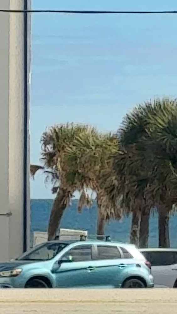 Beachside Cafe And Donuts