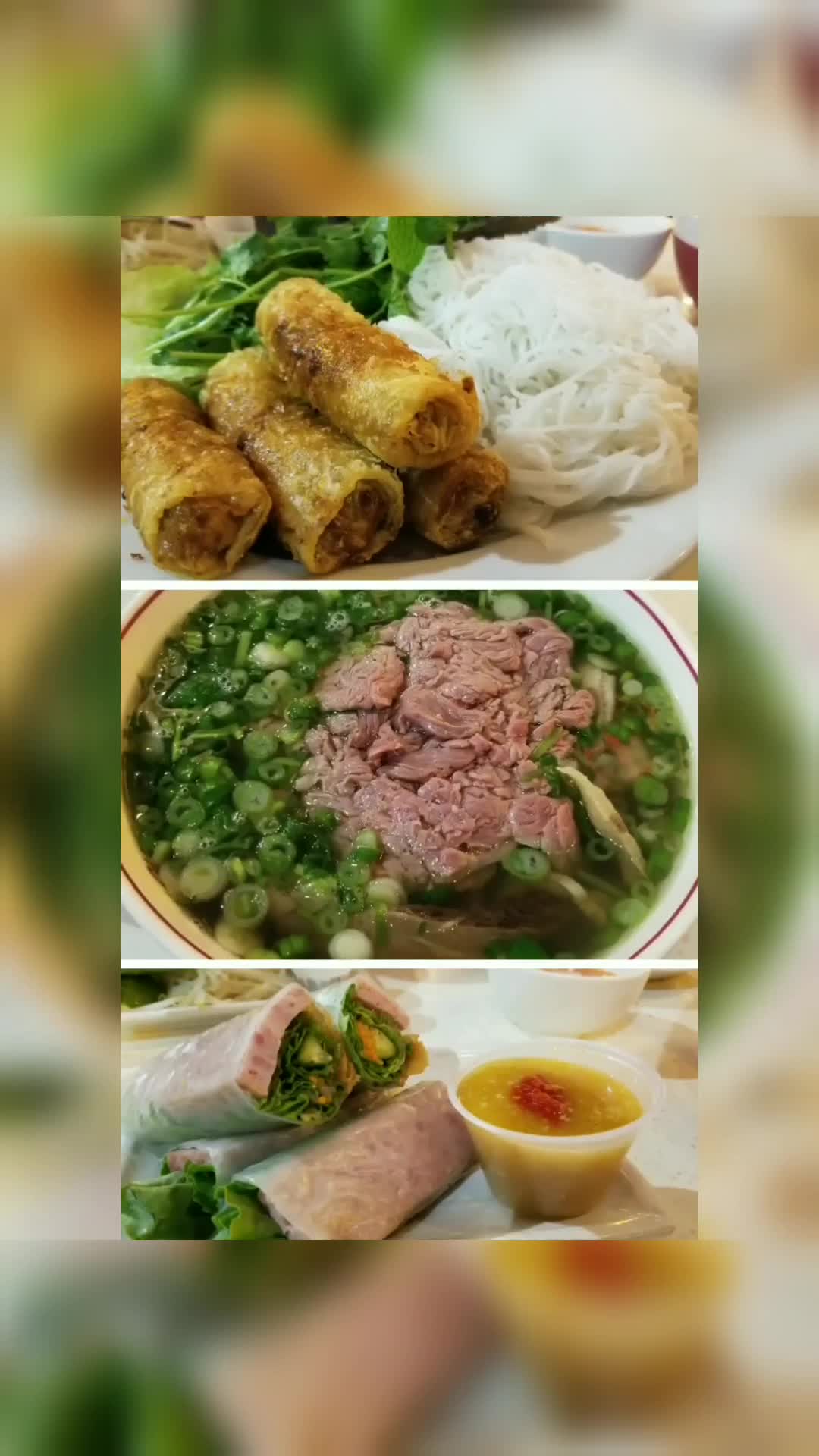 PHỞ HÀ NỘI SAN JOSE