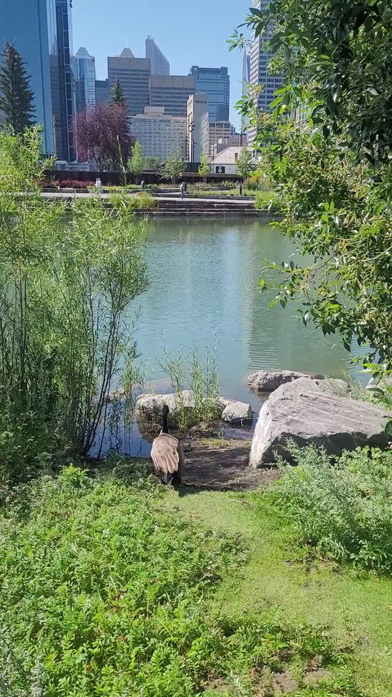 Prince's Island Park