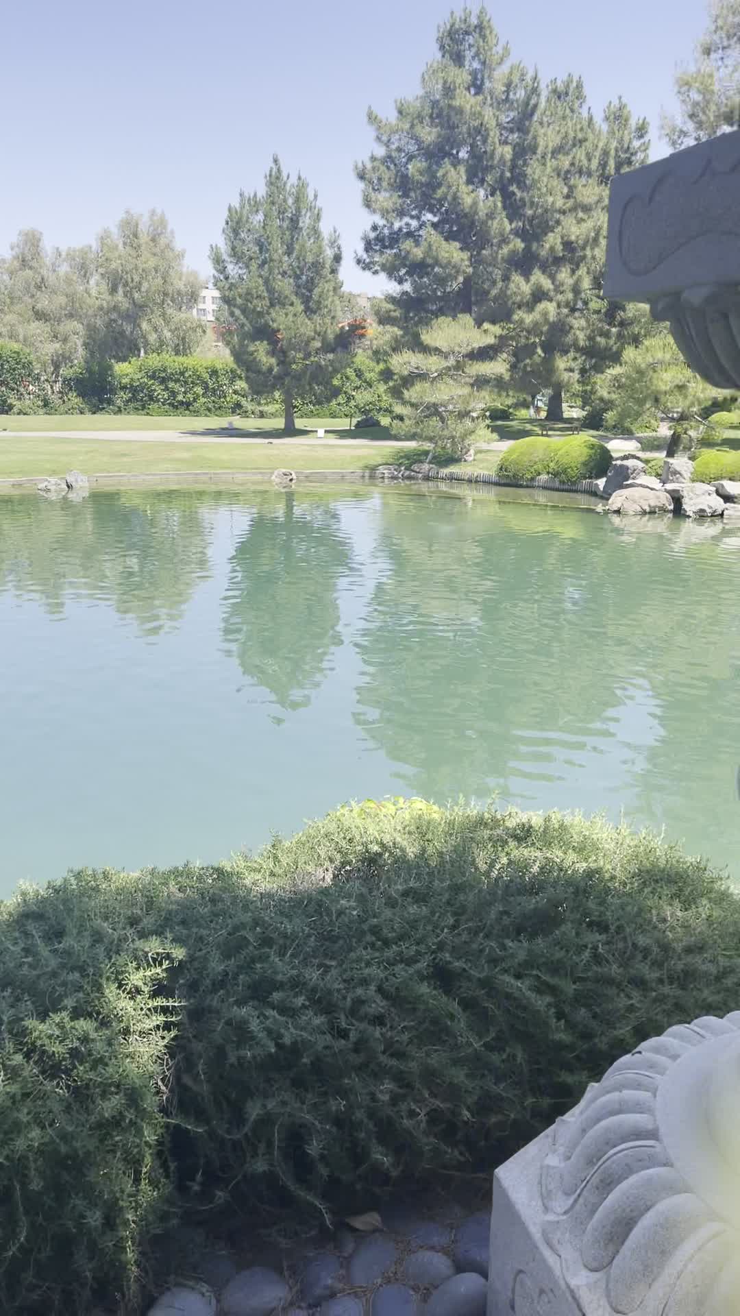 Japanese Friendship Garden of Phoenix