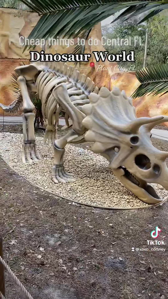 Dinosaur World