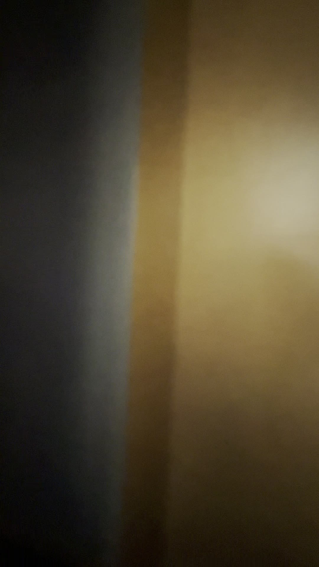 Mr Brainwash Art Museum