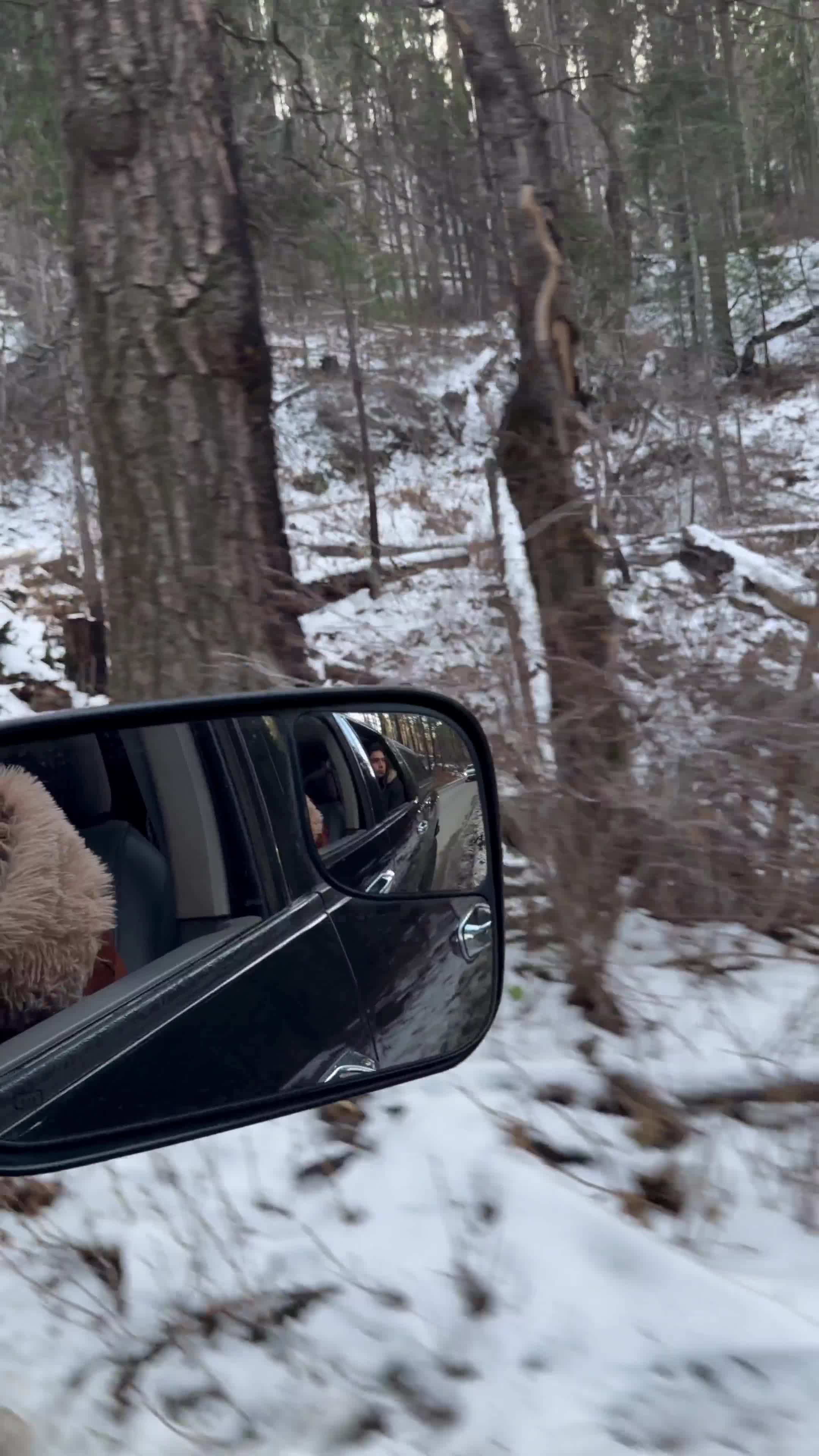 Sequoia National Forest 