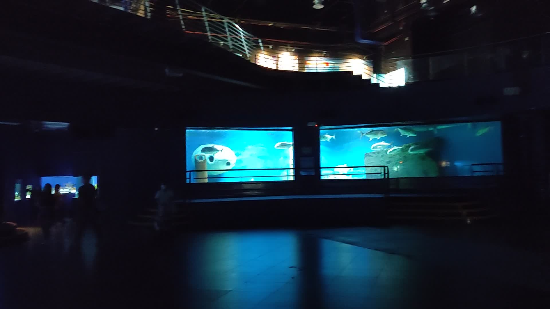 Manila Ocean Park