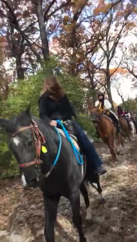 Sarah's Pony Rides