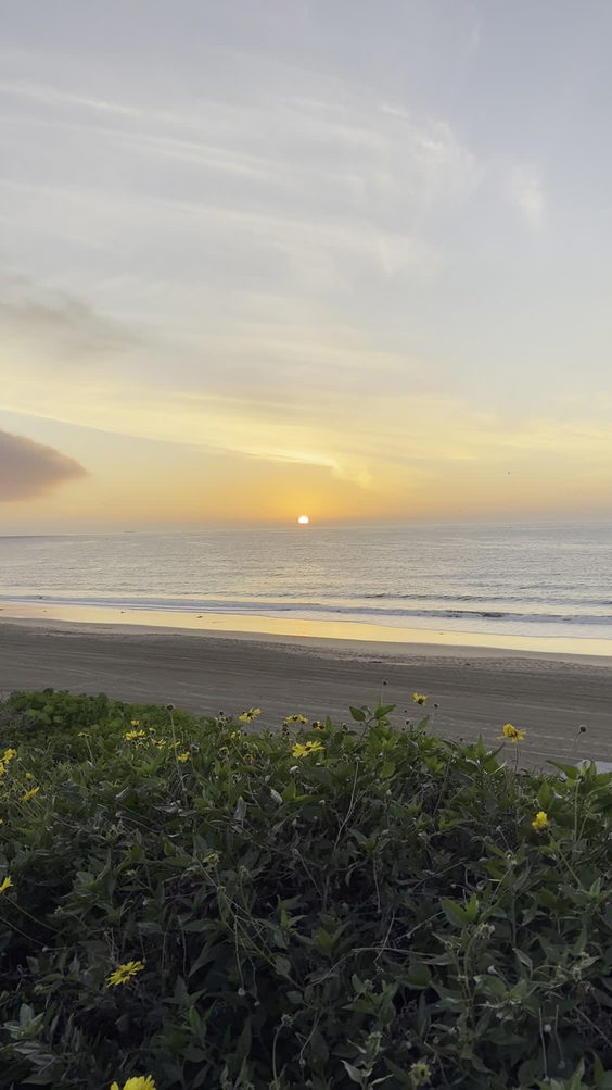 Torrance Beach