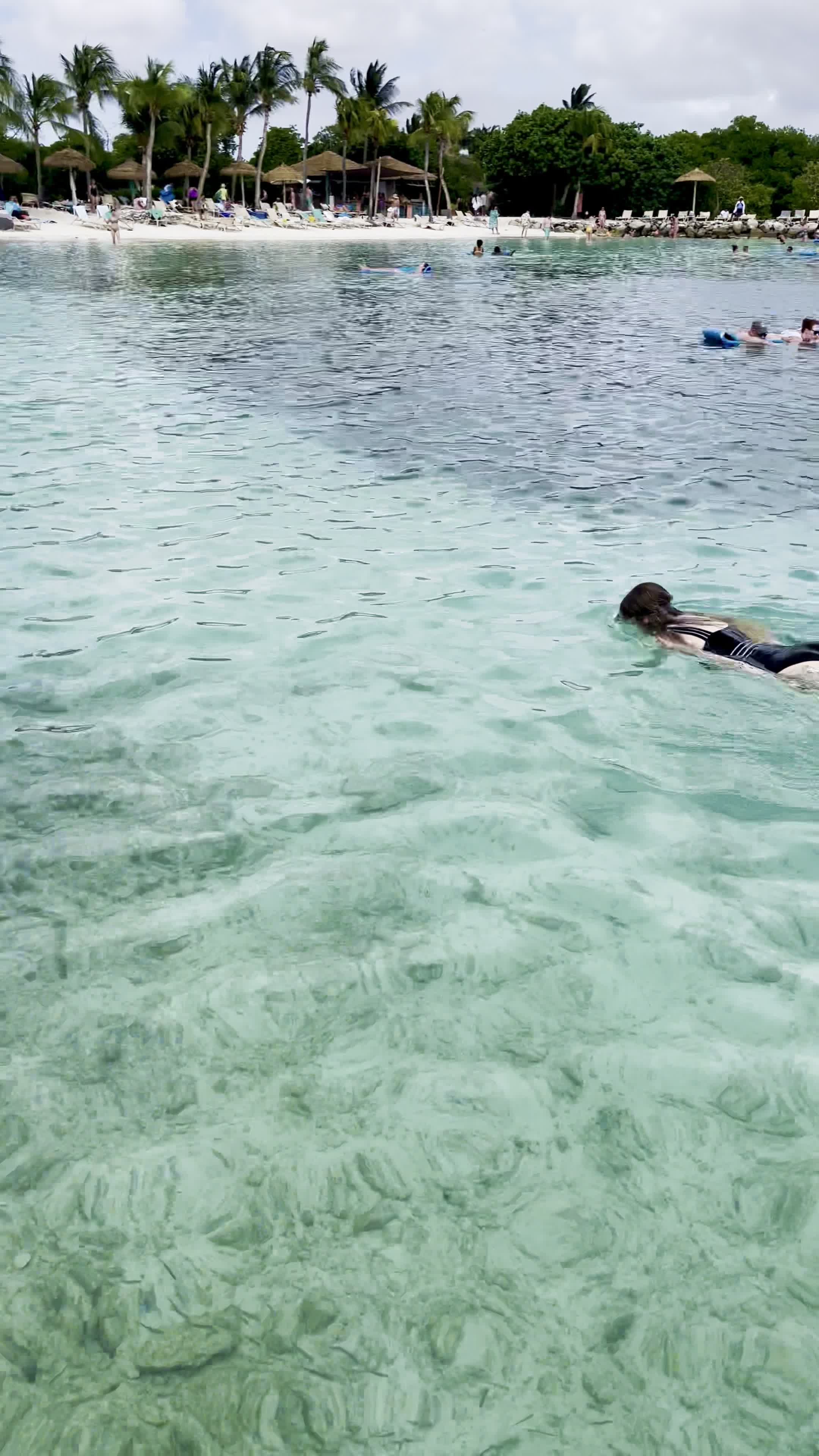 Flamingo Beach