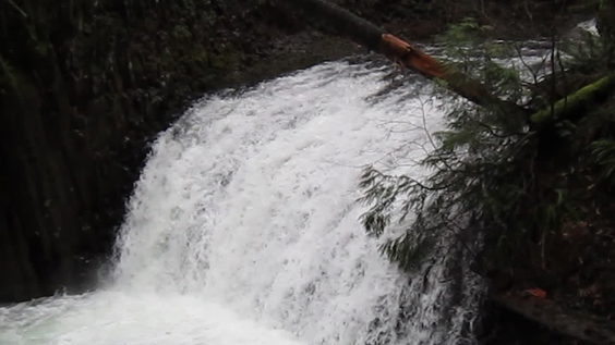 Multnomah Falls