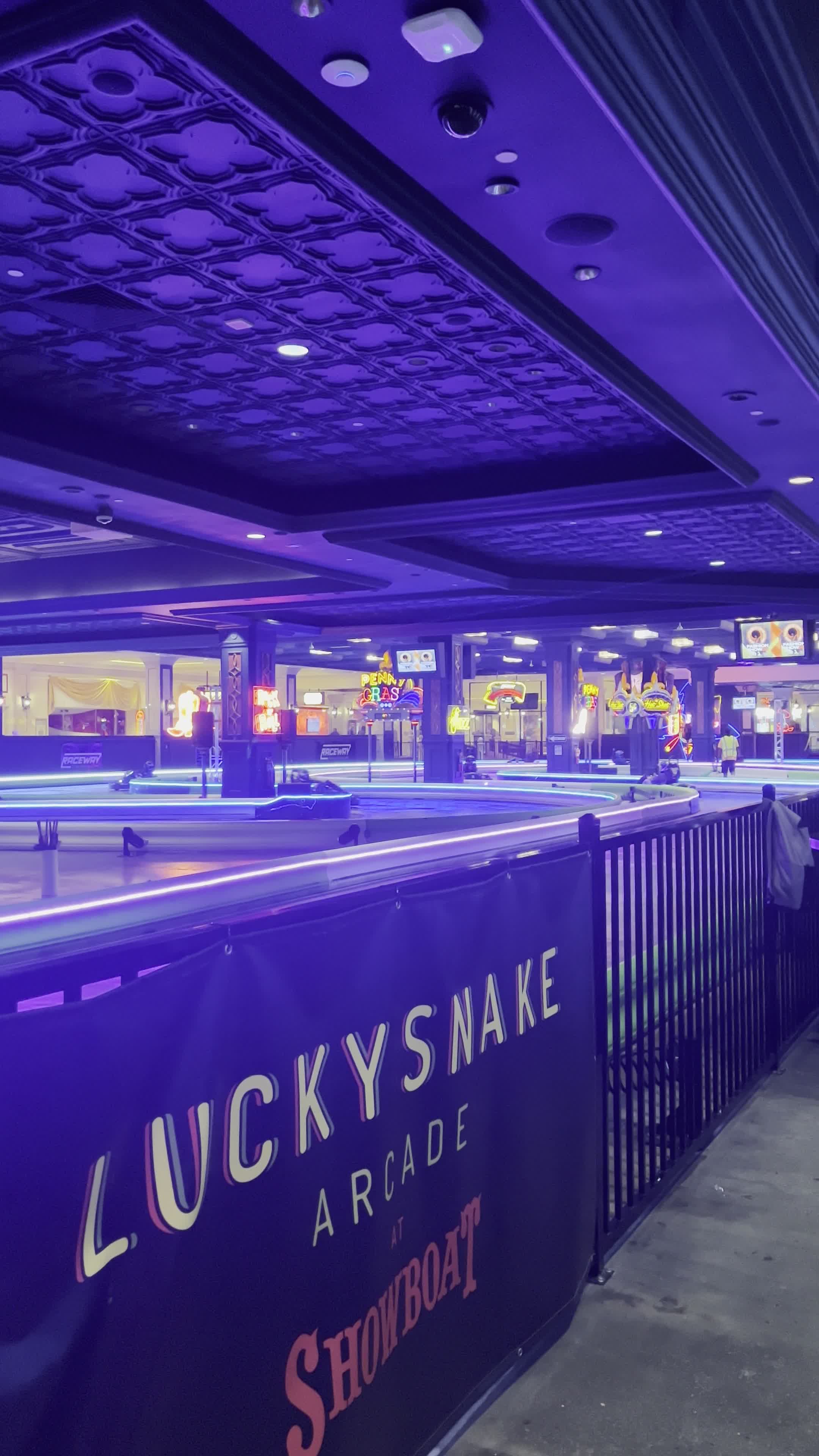 Lucky Snake Arcade & Sports Bar