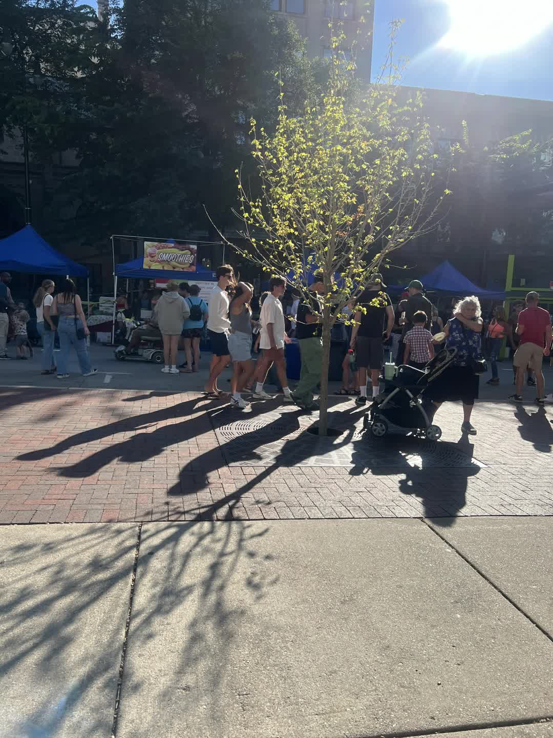 Taste of Madison