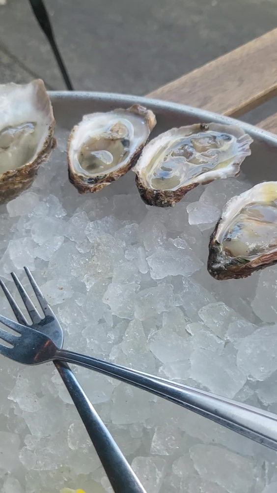 Greenpoint Fish & Lobster Co.