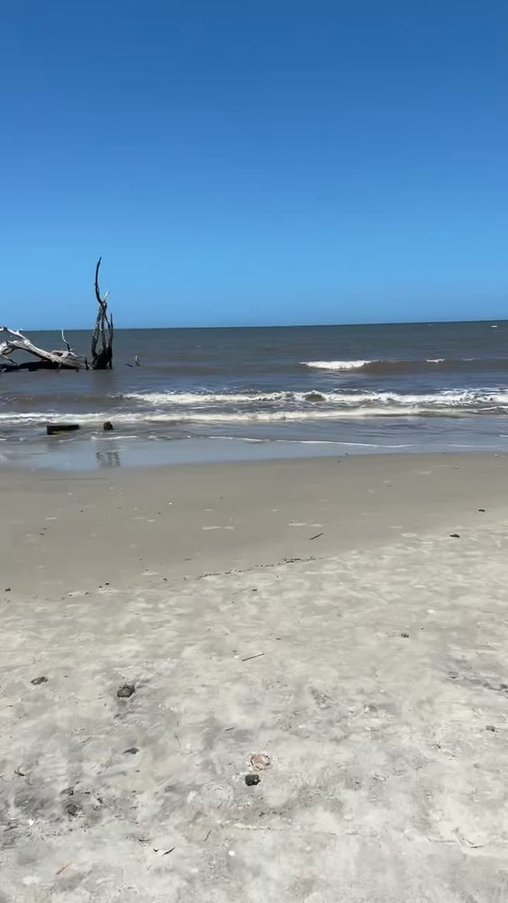 Driftwood Beach