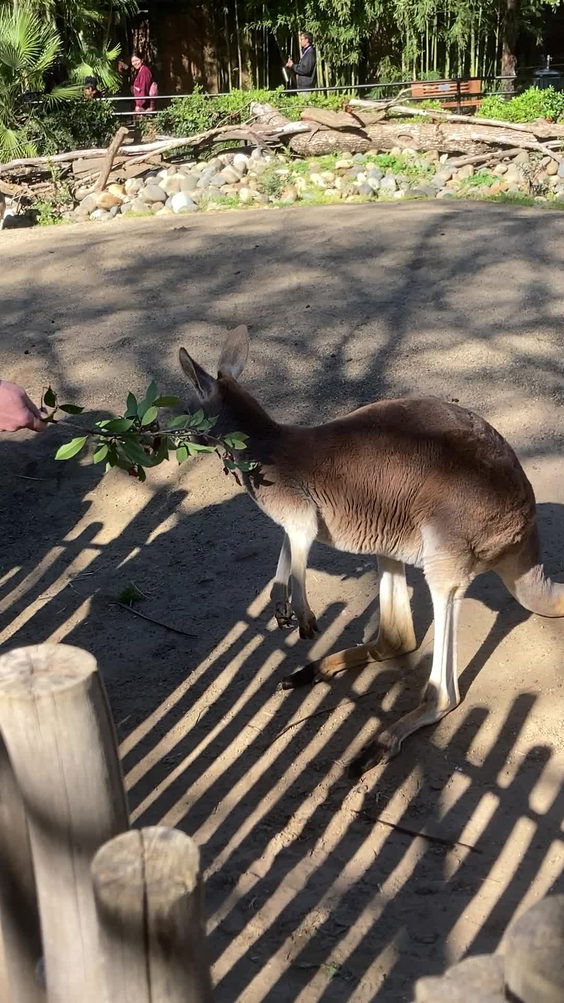 Sacramento Zoo