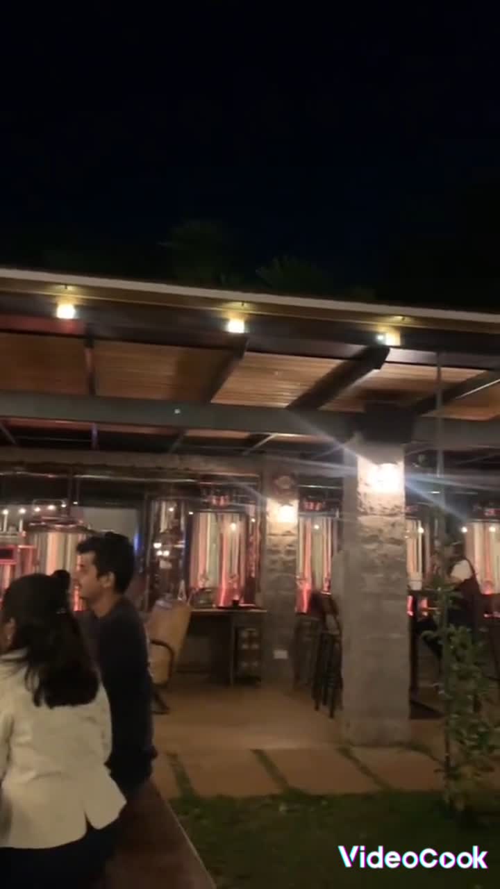 The crafty chameleon brewery