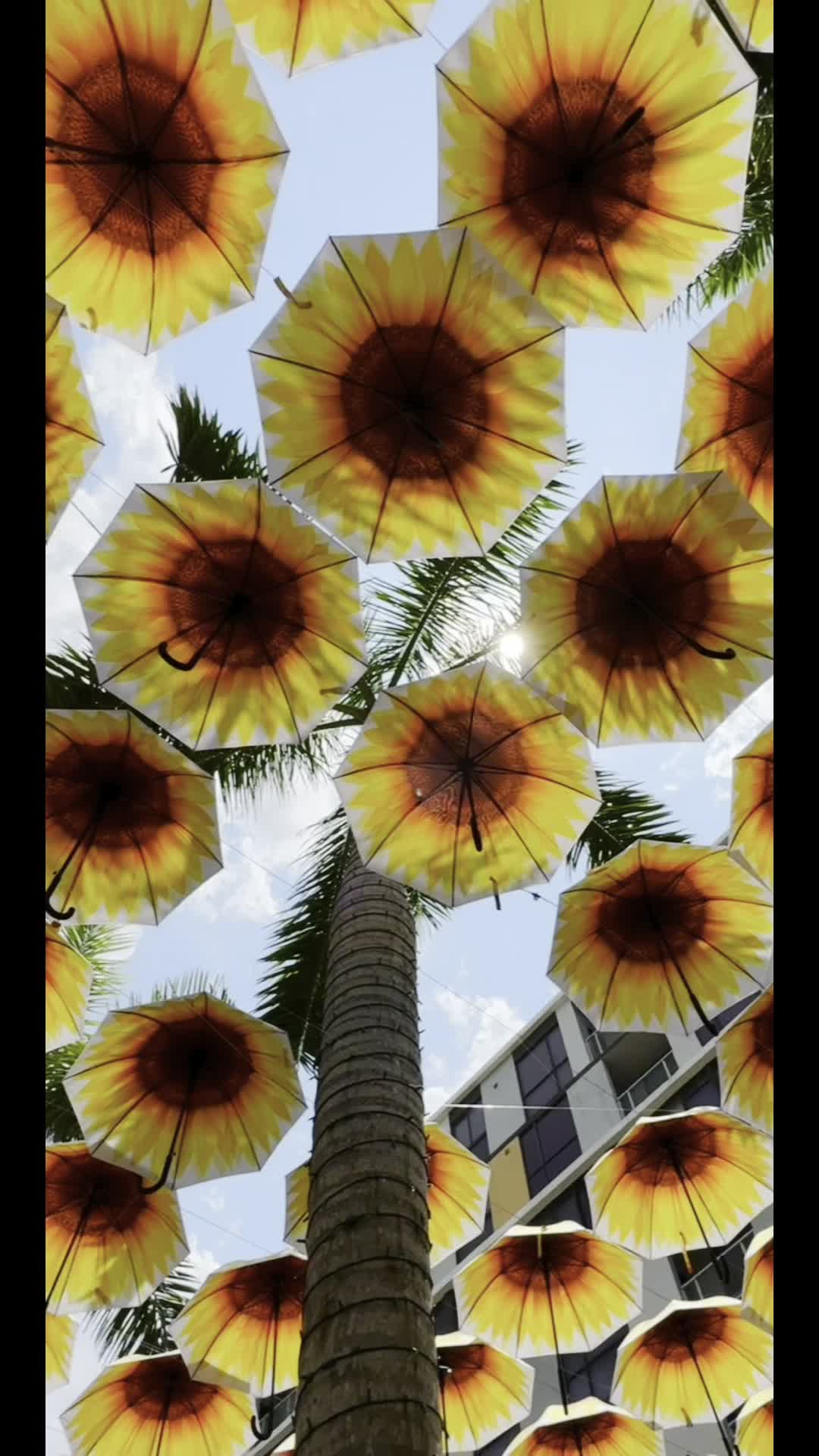 Video review of City Place Doral