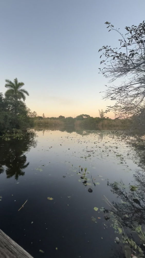2227 venon St lake worth fl