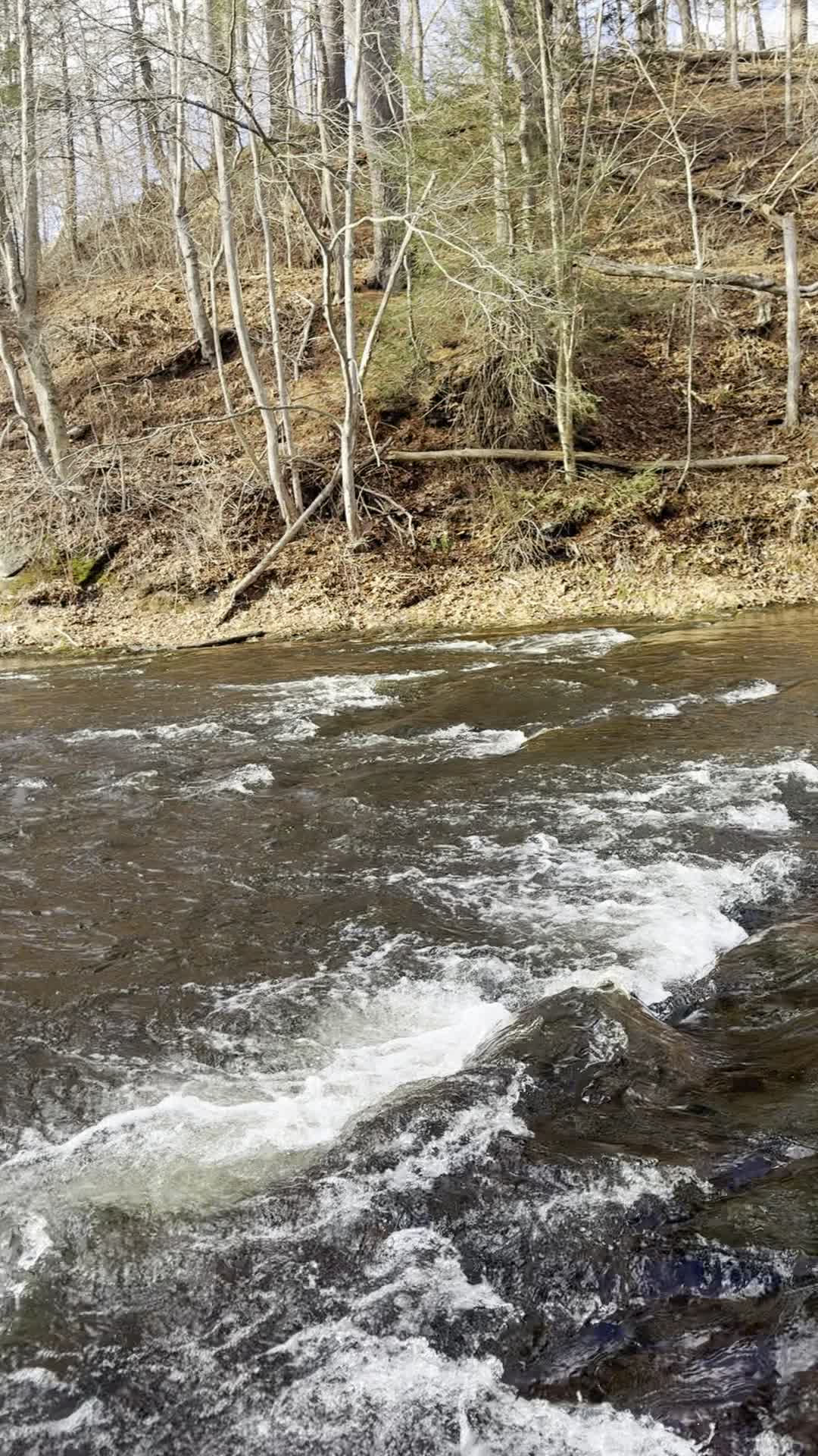 Scantic River Rapids