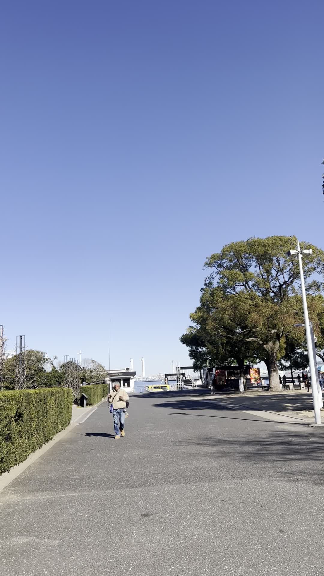 Yamashita Park (山下公園)