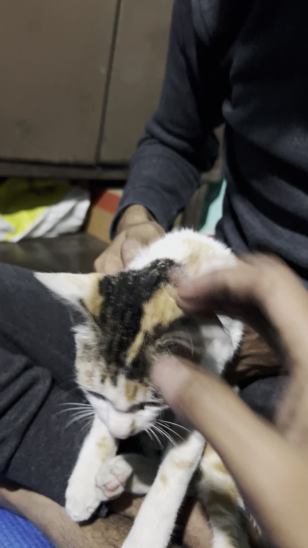 Apollo Tyres - Superking Tyre Agency