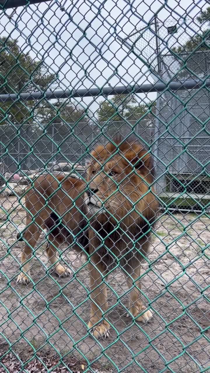 Popcorn Park Animal Refuge