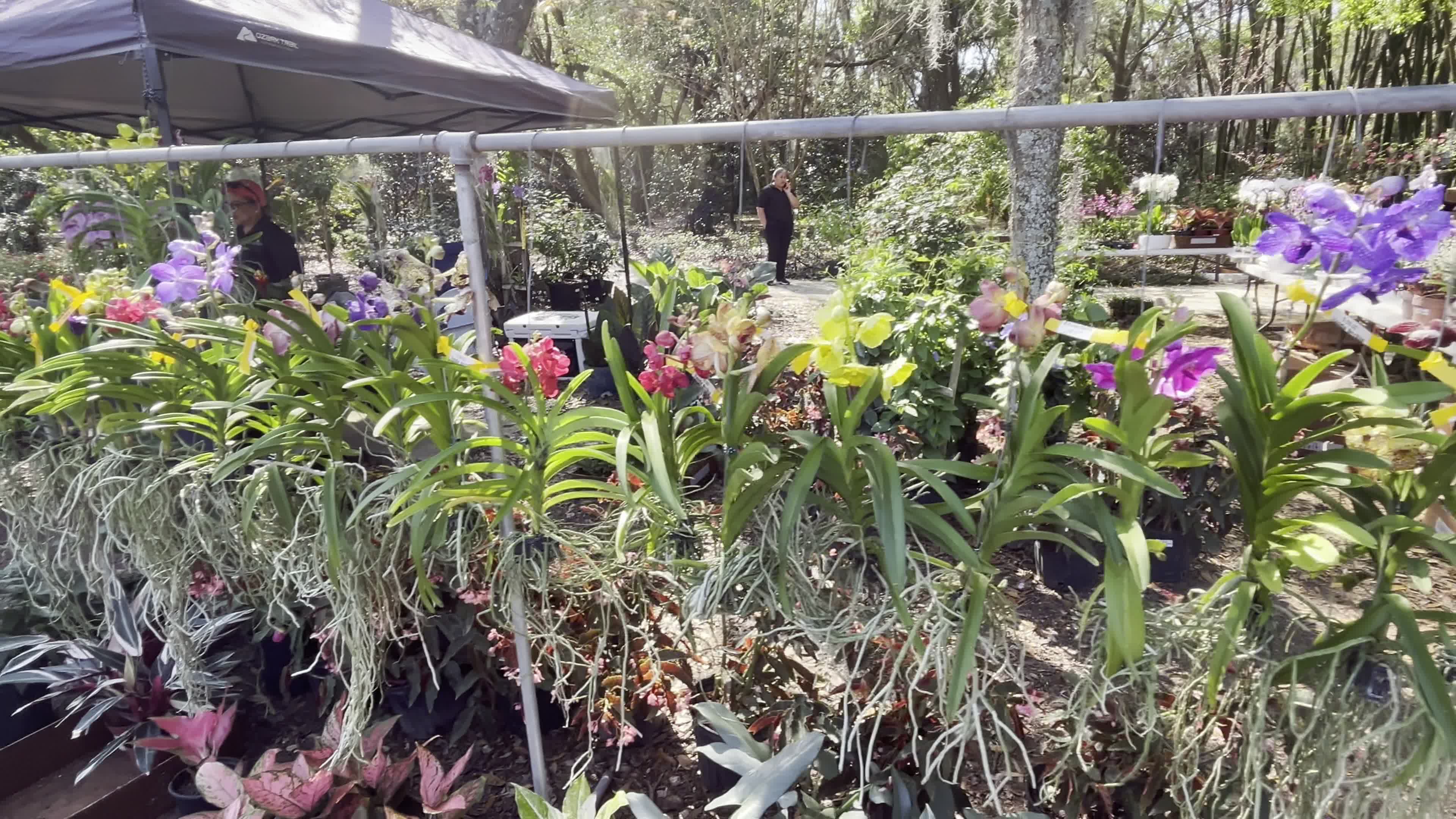 Harry P Leu Gardens