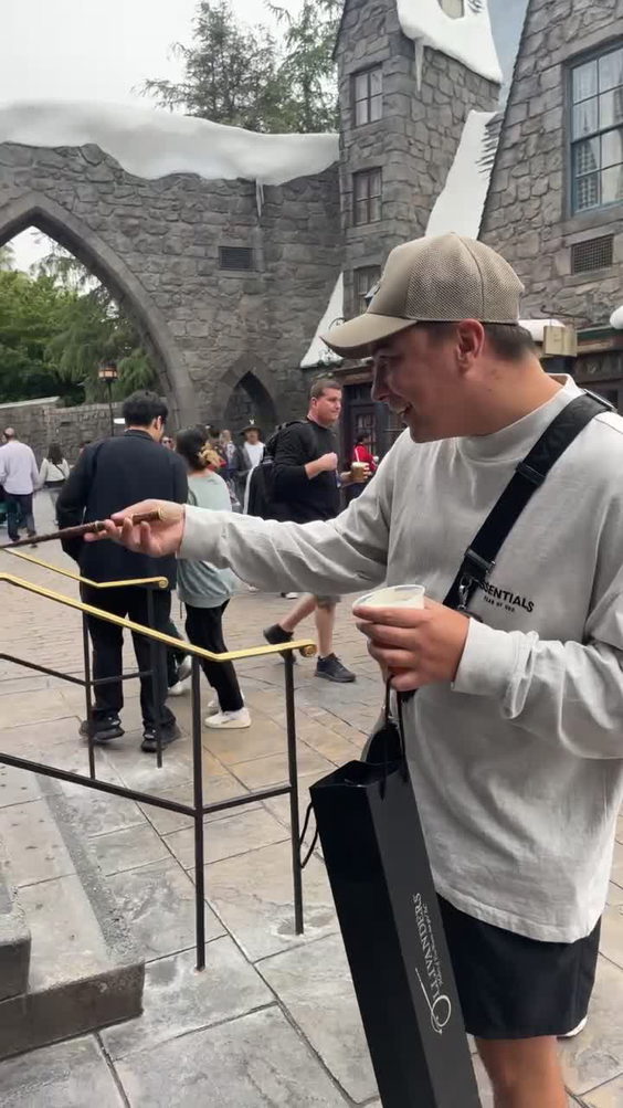 The Wizarding World of Harry Potter