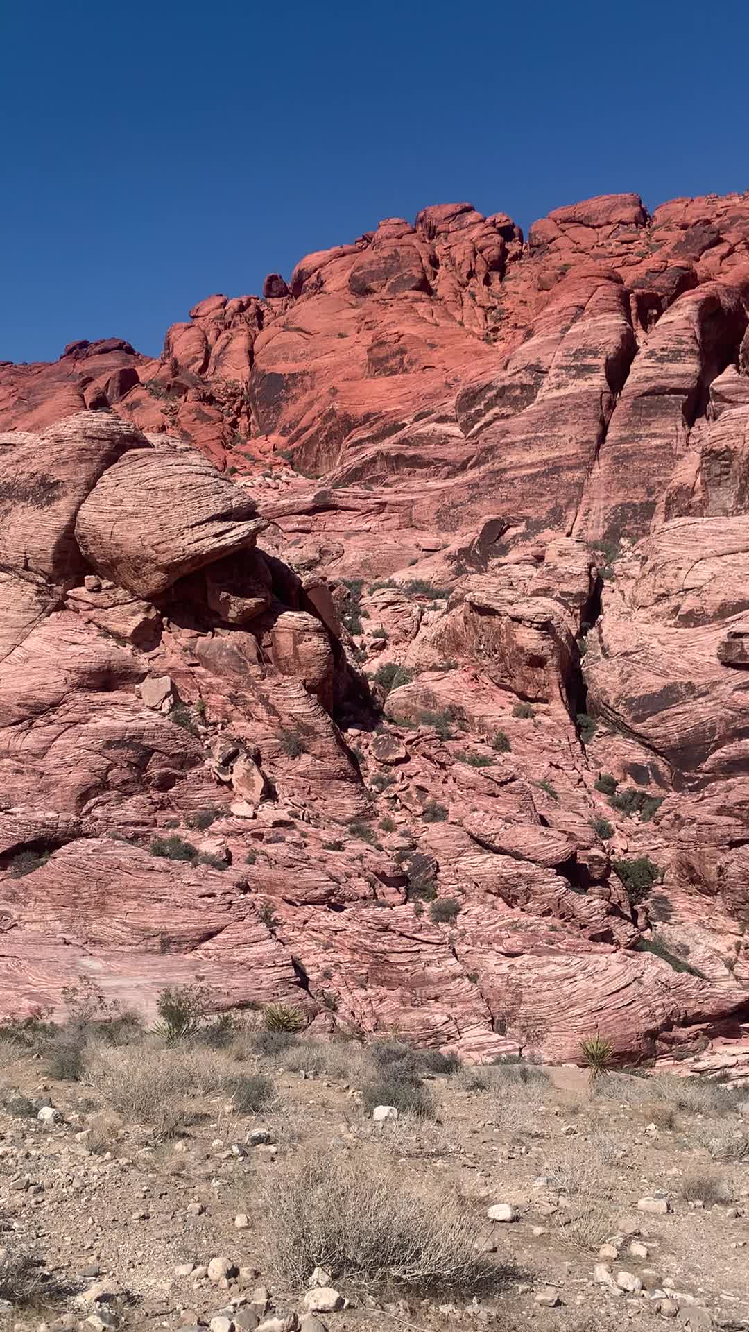 Red Rock Canyon National Conservation Area
