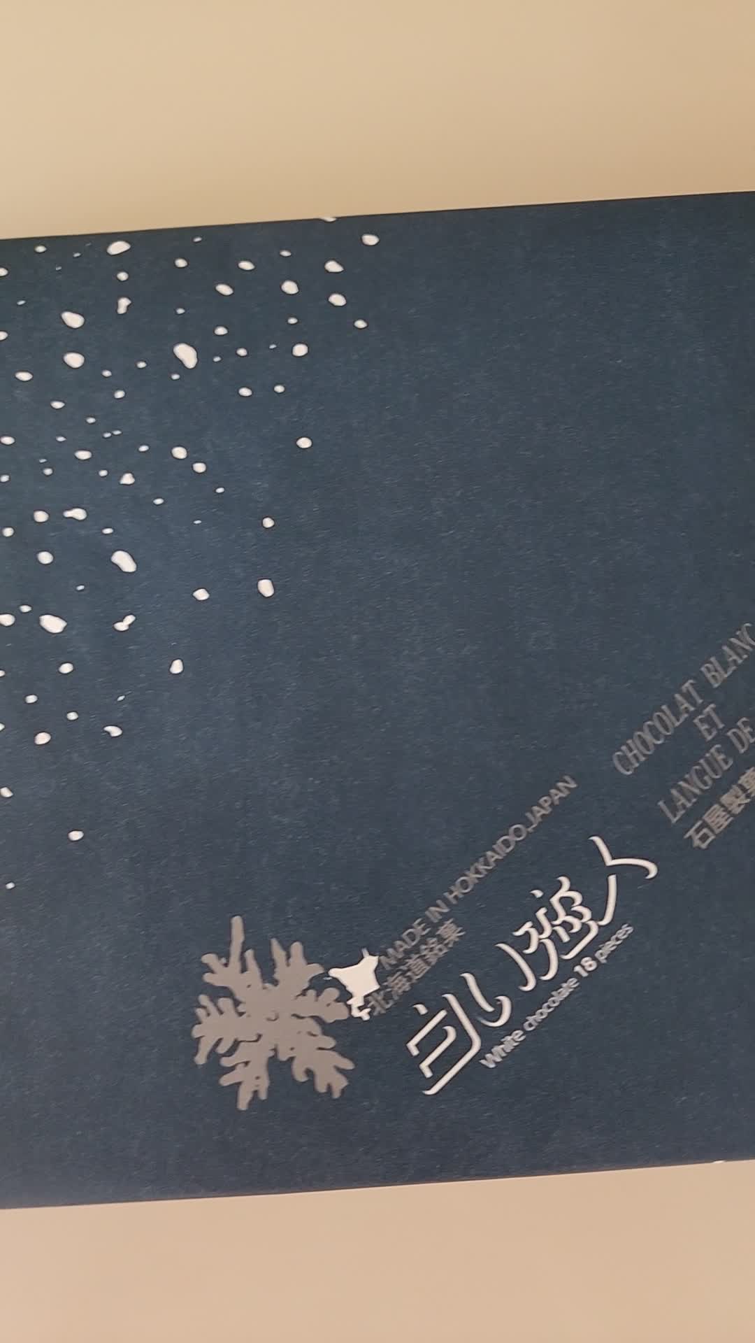 Tokyo International (Haneda) Airport (HND) (東京国際空港 (羽田空港))