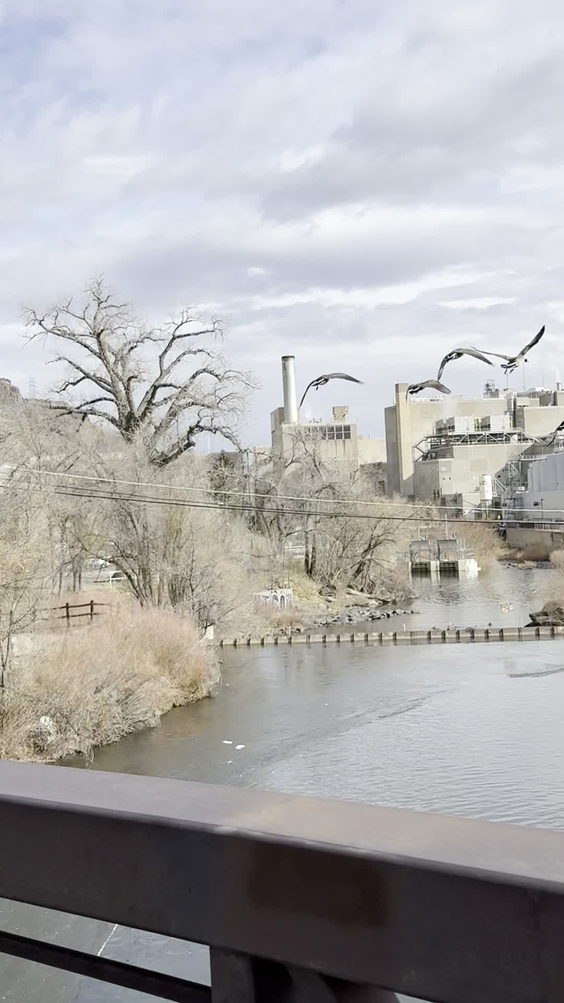 Coors Brewing Co.